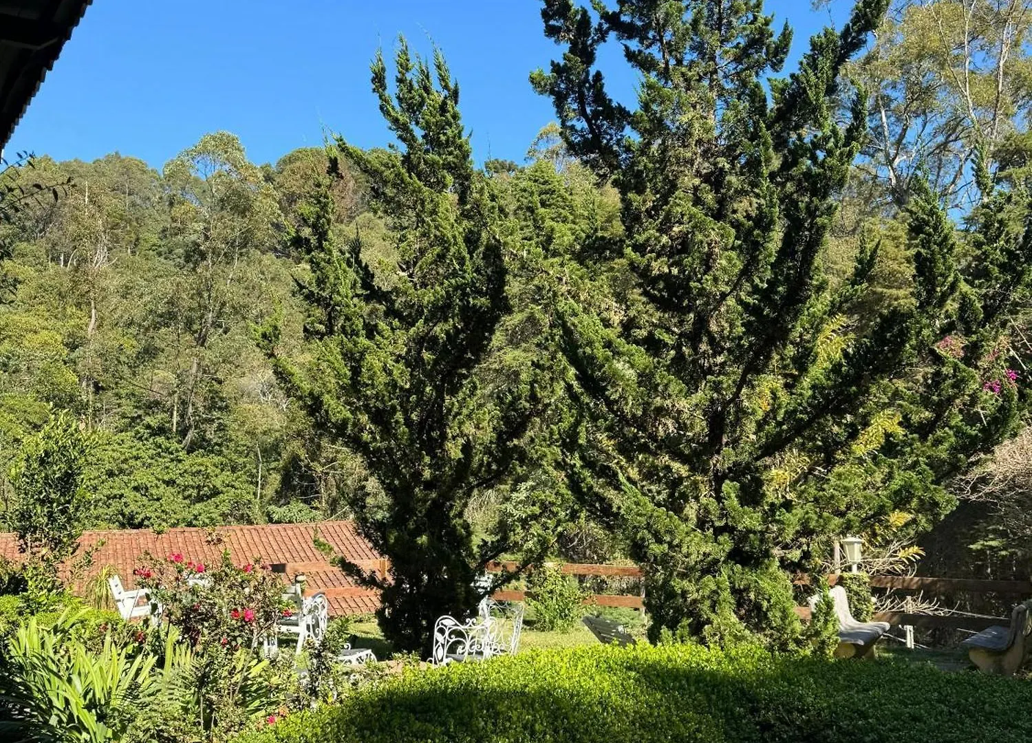 Refugio Dos Platanus Hotel Campos do Jordão